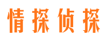 萨嘎市侦探调查公司